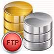 FTP, Databases and Programming Features